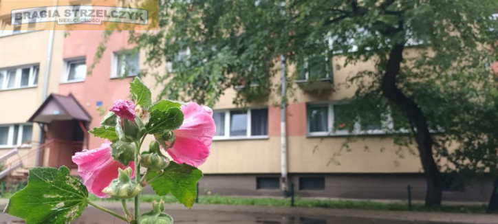 Mieszkanie Sprzedaż  Ochota Władysława Korotyńskiego 2